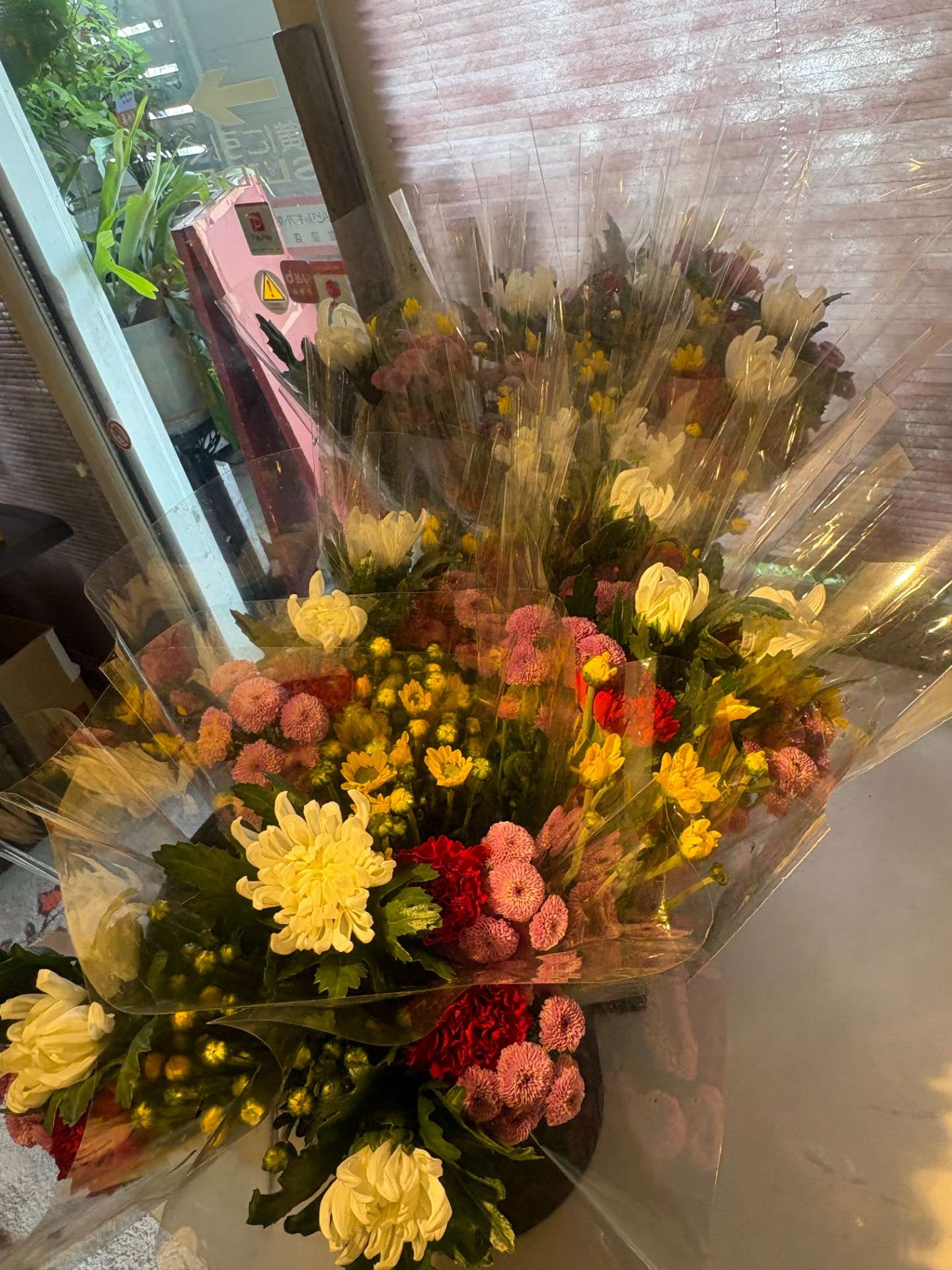 本日、お盆入りです！